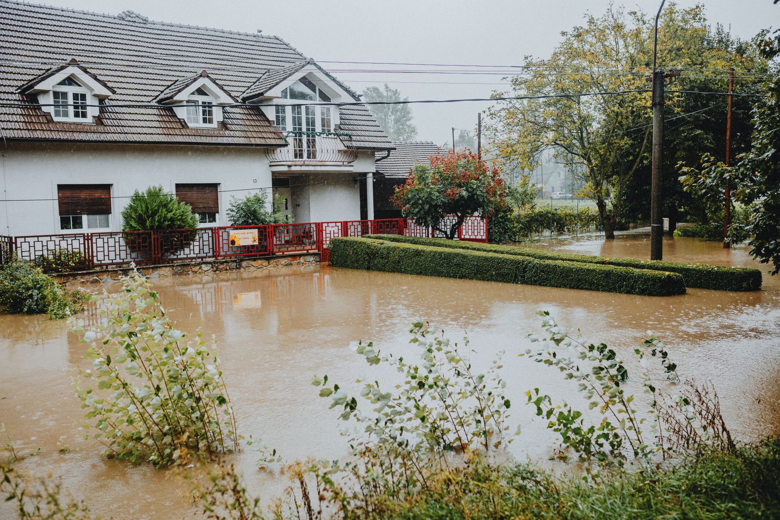Flood Restoration Companies Near Me: Fast Response in North Carolina
